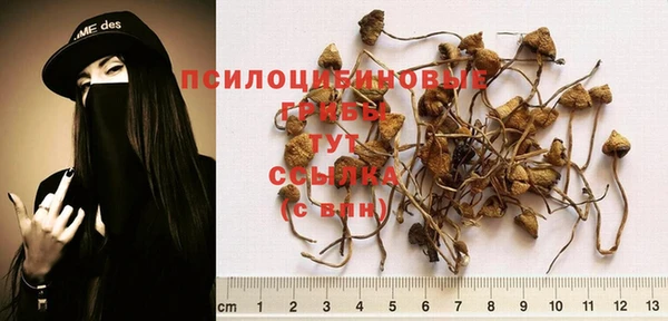 альфа пвп Шадринск